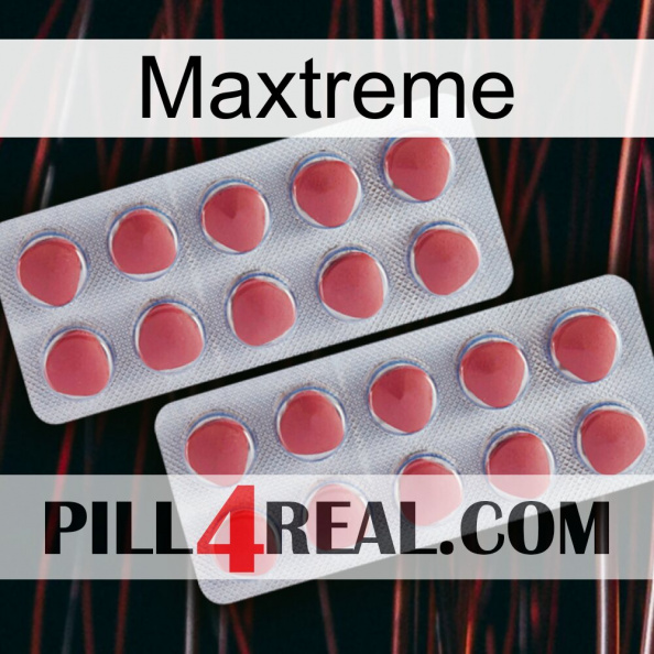 Maxtreme 19